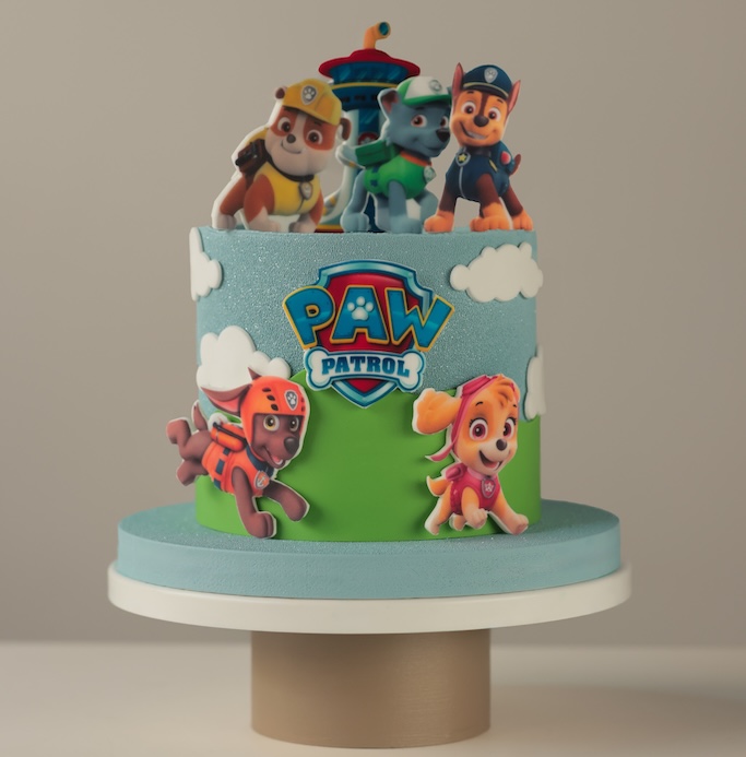 PAW patrol – Dreamfort